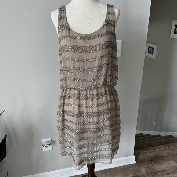 NWT! 5/48 Sequins Chiffon Scoop Neck Dress - Beige and Silver - Picture 6 of 11